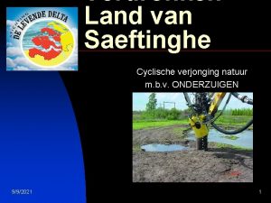 Verdronken Land van Saeftinghe Cyclische verjonging natuur m