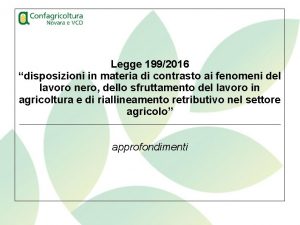 Legge 1992016 disposizioni in materia di contrasto ai