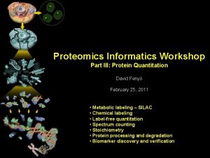 Proteomics Informatics Workshop Part III Protein Quantitation David