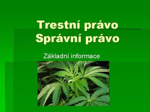 Trestn prvo Sprvn prvo Zkladn informace Opakovn Procesn