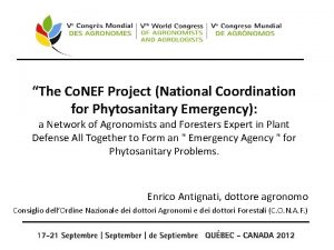 The Co NEF Project National Coordination for Phytosanitary