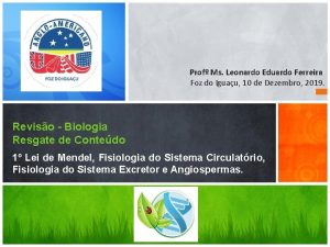 Prof Ms Leonardo Eduardo Ferreira Foz do Iguau