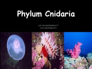 Phylum Cnidaria 121 138 120EDITION 14 TH 119