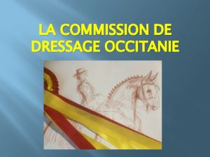 LA COMMISSION DE DRESSAGE OCCITANIE Les membres Stphane