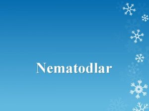 Nematodlar ERK 1 2 3 4 5 6