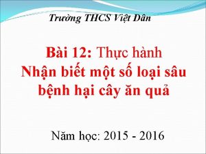 Trng THCS Vit Dn Bi 12 Thc hnh
