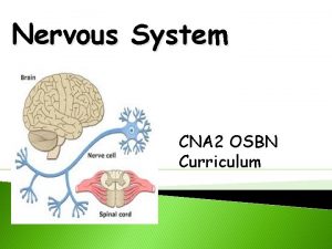 Nervous System CNA 2 OSBN Curriculum Nervous System