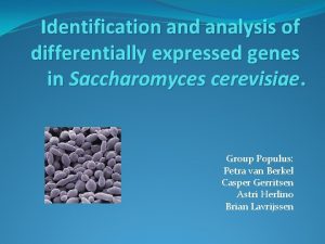 Identification and analysis of differentially expressed genes in