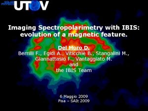 Imaging Spectropolarimetry with IBIS evolution of a magnetic