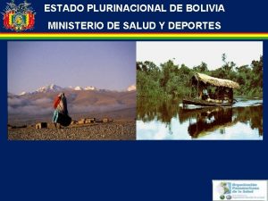 ESTADO PLURINACIONAL DE BOLIVIA MINISTERIO DE SALUD Y