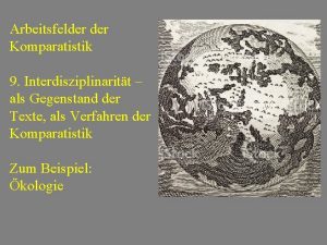 Arbeitsfelder Komparatistik 9 Interdisziplinaritt als Gegenstand der Texte