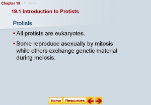 Chapter 19 Protists 19 1 Introduction to Protists