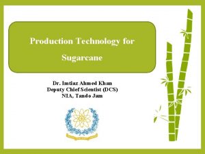 Production Technology for Sugarcane Dr Imtiaz Ahmed Khan