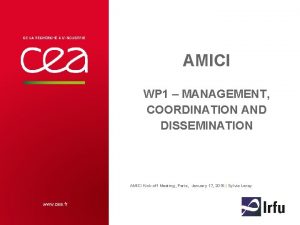 AMICI WP 1 MANAGEMENT COORDINATION AND DISSEMINATION AMICI