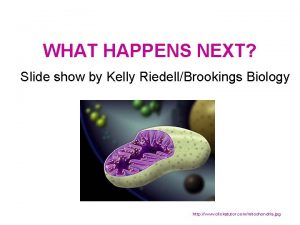 WHAT HAPPENS NEXT Slide show by Kelly RiedellBrookings