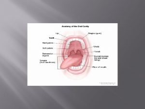 ORAL CAVITY The oral cavity is formed by