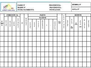 PADRE N MADRE N PROCEDENCIA HEMBRA N FECHA