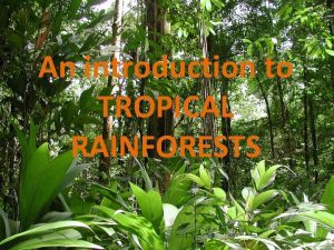 An introduction to TROPICAL RAINFORESTS What are rainforests