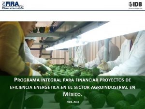 PROGRAMA INTEGRAL PARA FINANCIAR PROYECTOS DE EFICIENCIA ENERGTICA