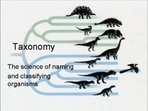 Taxonomy The science of naming and classifying organisms
