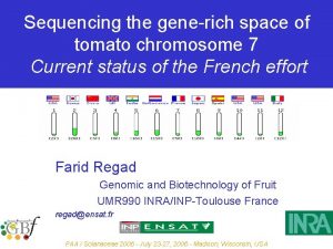 Sequencing the generich space of tomato chromosome 7