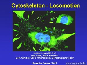 Cytoskeleton Locomotion Kohidai Laszlo MD Ph D Med