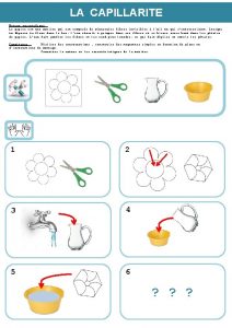 LA CAPILLARITE Notion scientifique Le papier est une