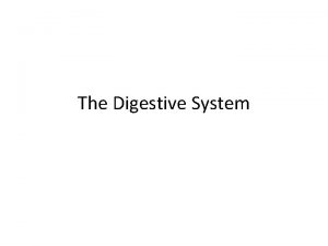 The Digestive System Nutrition Food provides the energy