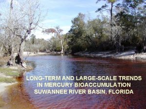 LONGTERM AND LARGESCALE TRENDS IN MERCURY BIOACCUMULATION SUWANNEE