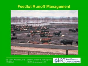 Feedlot Runoff Management By John Andrews P E