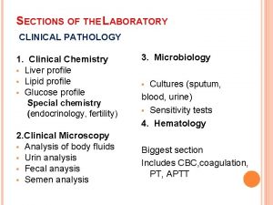 SECTIONS OF THE LABORATORY CLINICAL PATHOLOGY 1 Clinical