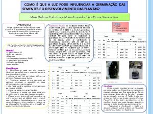 COMO QUE A LUZ PODE INFLUENCIAR A GERMINAO