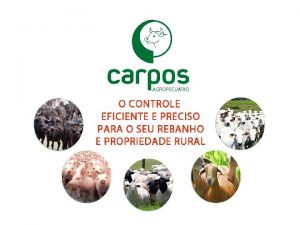 O QUE Rebanhos Histricos Estoques Custos CAPACIDADE Plantis