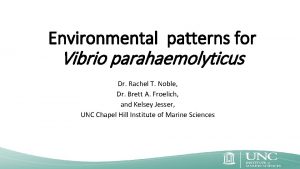 Environmental patterns for Vibrio parahaemolyticus Dr Rachel T