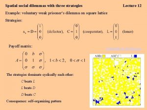 Spatial social dilemmas with three strategies Lecture 12