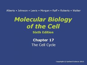 Alberts Johnson Lewis Morgan Raff Roberts Walter Molecular