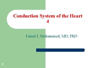 Conduction System of the Heart 4 Faisal I