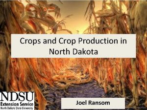 Crops and Crop Production in North Dakota Joel