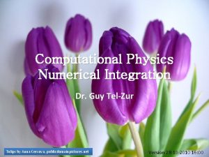 Computational Physics Numerical Integration Dr Guy TelZur Tulips