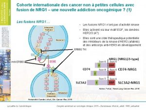 Cohorte internationale des cancer non petites cellules avec