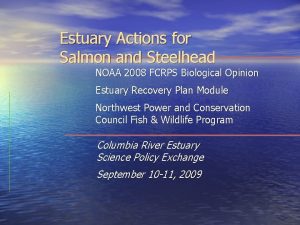 Estuary Actions for Salmon and Steelhead NOAA 2008