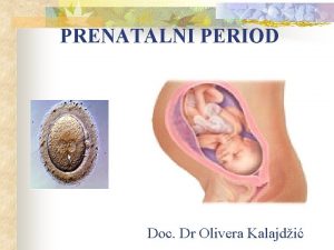 PRENATALNI PERIOD Doc Dr Olivera Kalajdi n tekoe