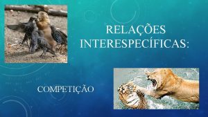 RELAES INTERESPECFICAS COMPETIO NDICE 1 Titulo 2 ndice