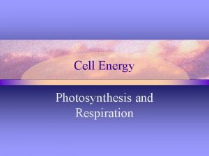 Cell Energy Photosynthesis and Respiration Photosynthesis Photosynthesis process