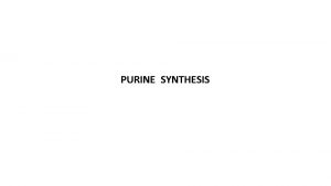 Amp synthesis
