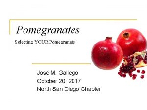 Pomegranates Selecting YOUR Pomegranate Jos M Gallego October