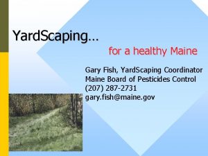 Yard Scaping for a healthy Maine Gary Fish