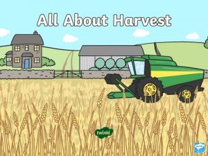 What Is a Harvest Festival A harvest festival