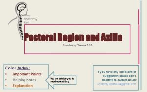 Pectoral Region and Axilla Anatomy Team 434 Color