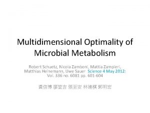 Multidimensional Optimality of Microbial Metabolism Robert Schuetz Nicola